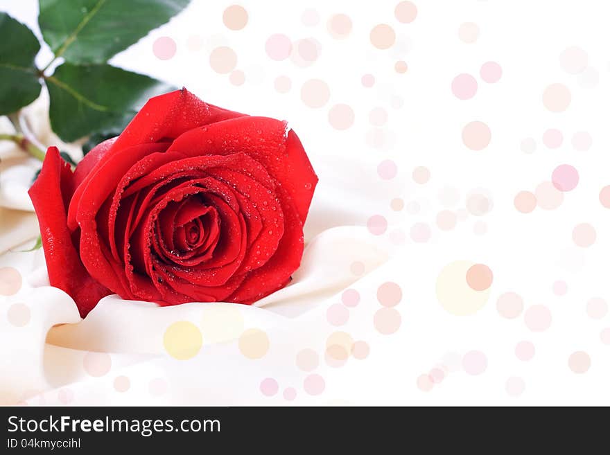 Red rose with dew drops on a gentle silk