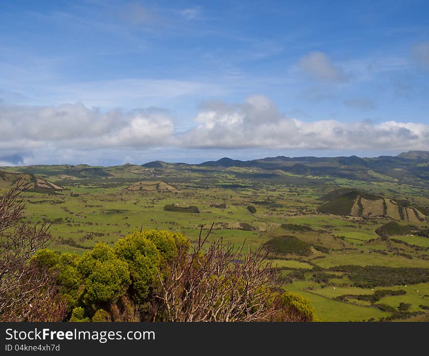 Pico island green field