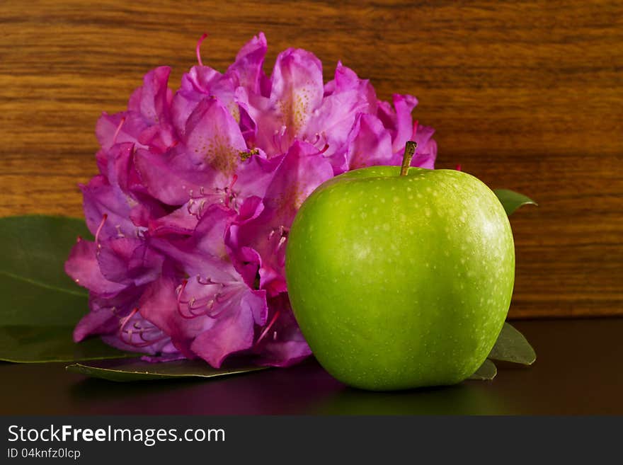 Green apple placed in front of broad leaf rhododendron blossom. Symbols of spring, learning, renewal, education, success;. Green apple placed in front of broad leaf rhododendron blossom. Symbols of spring, learning, renewal, education, success;