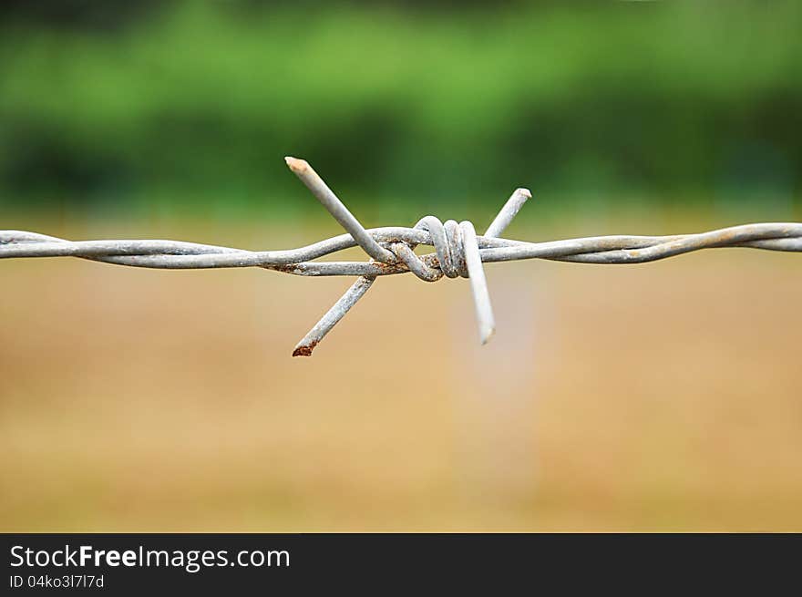 Old barbed wire close up