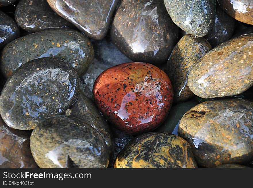 Brown and grey stones beside the river