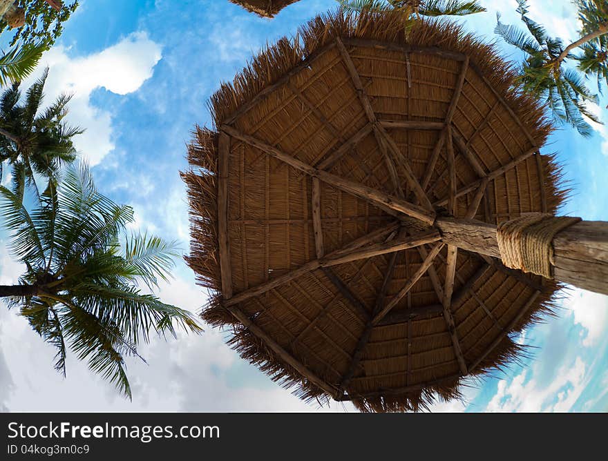 Umbrella on tropical beach made of palm leaves up view. Umbrella on tropical beach made of palm leaves up view