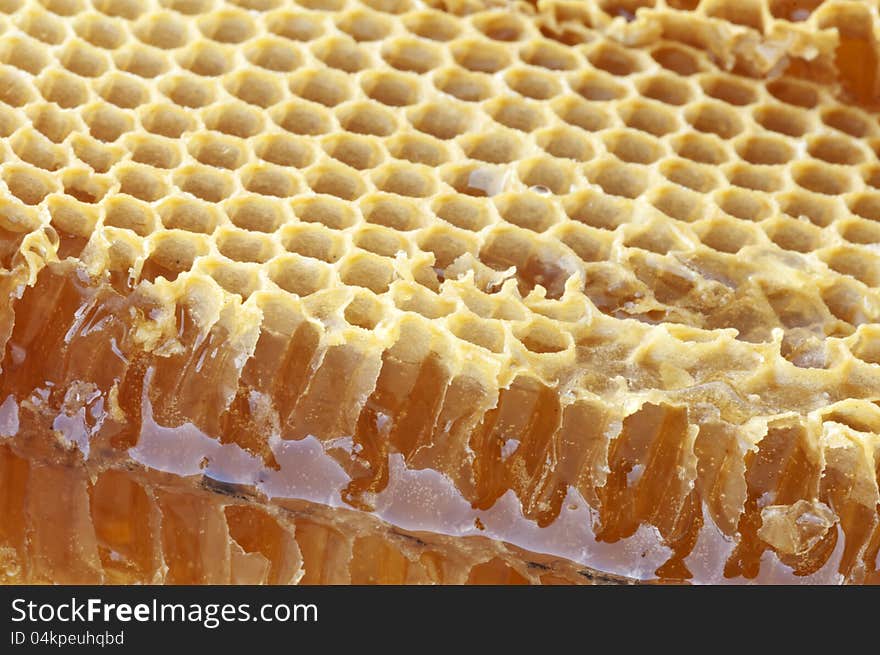 Honeycomb with honey