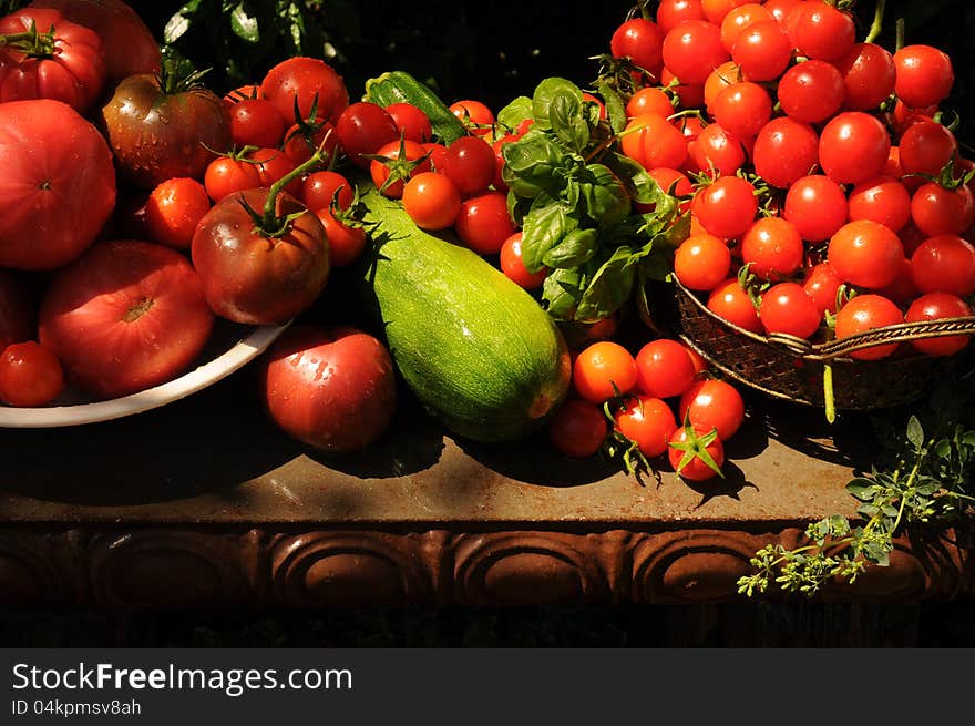 tomato harvest