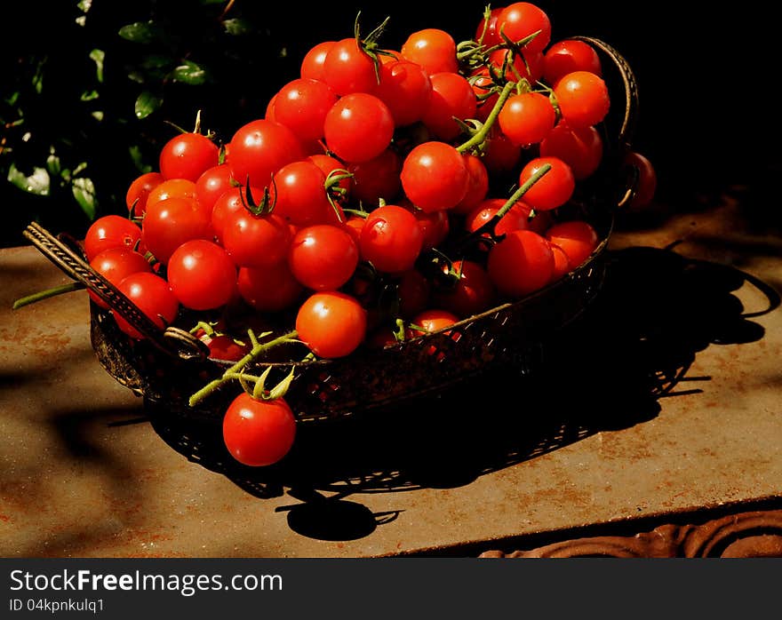 Up close image of a harvest of tomatoes in various sizes and colors of red, droplets of water and sunshine sparkling over the fruit in a metal basket. Up close image of a harvest of tomatoes in various sizes and colors of red, droplets of water and sunshine sparkling over the fruit in a metal basket