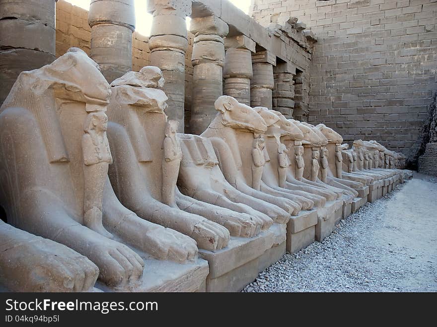 Ram statues in front of the Karnak temple in Luxor. Ram statues in front of the Karnak temple in Luxor