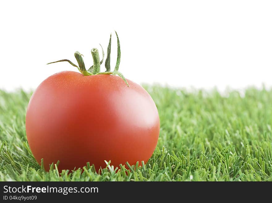 Tomato on grass