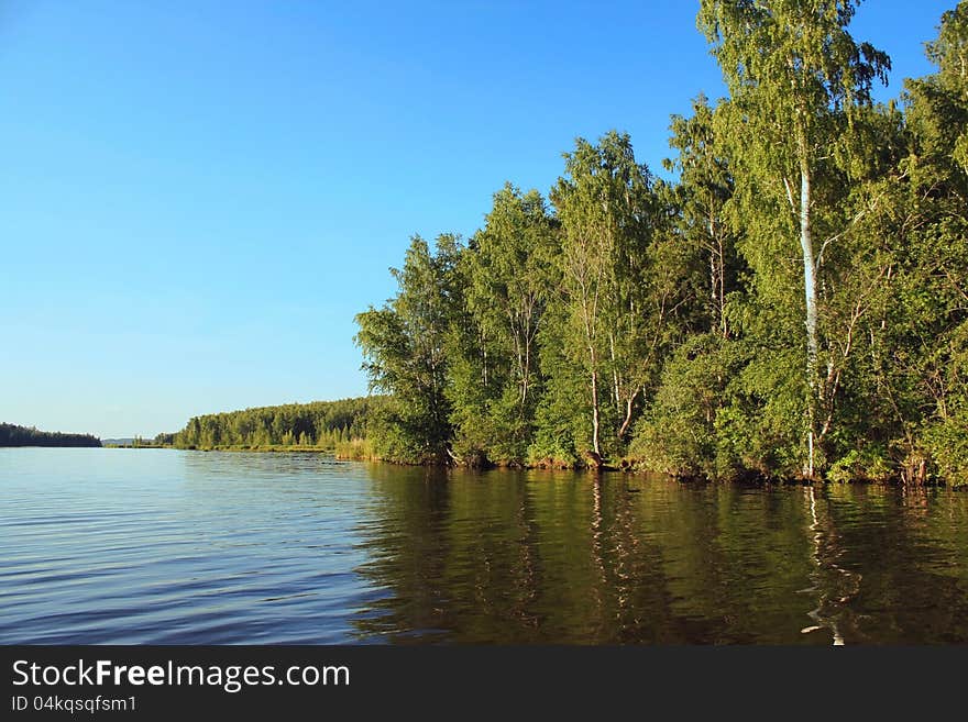 The photo of summer coastal landscape of the lake on which wood grows. The photo of summer coastal landscape of the lake on which wood grows