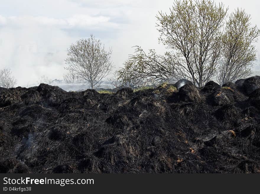 Black and gray grass residues after wildfire. Focus is on fireman in the background. Black and gray grass residues after wildfire. Focus is on fireman in the background.