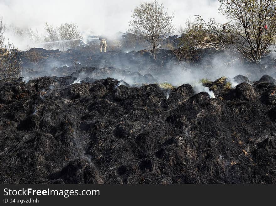 Black and gray grass residues after wildfire. Focus is on fireman in the background. Black and gray grass residues after wildfire. Focus is on fireman in the background.