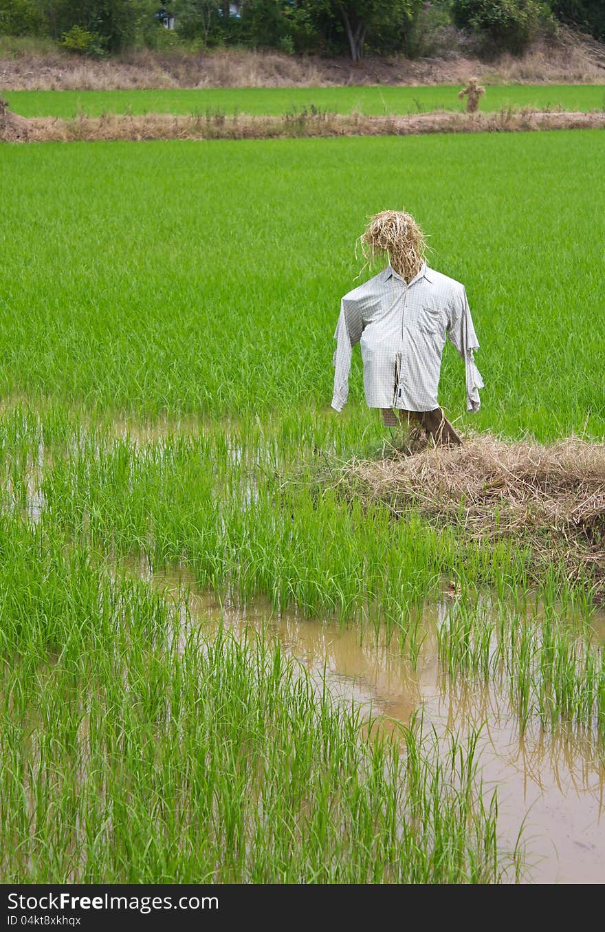 Scarecrow made ​​of straw, clothes torn.