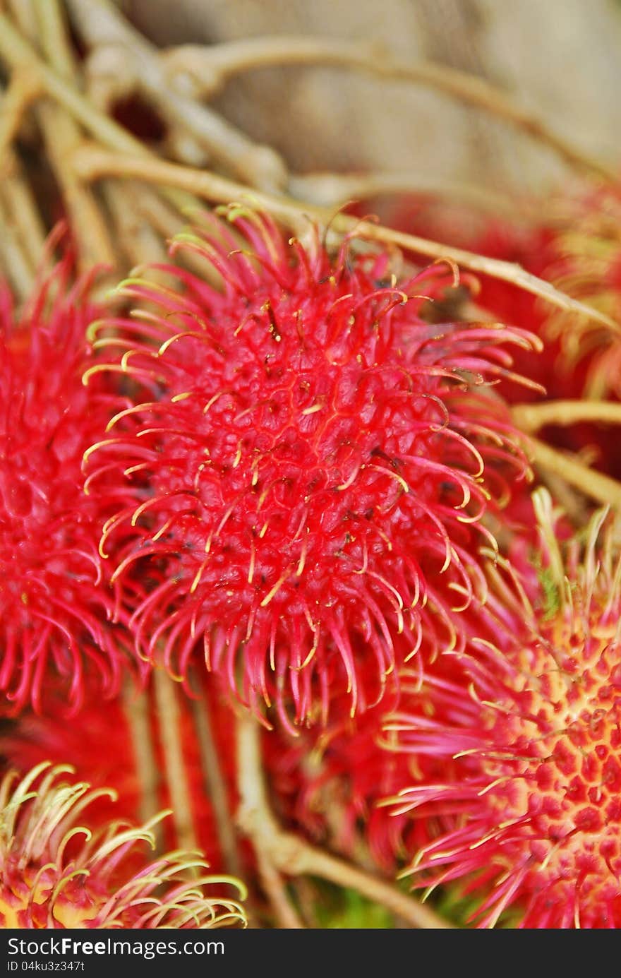 Red ripe spiky fruit