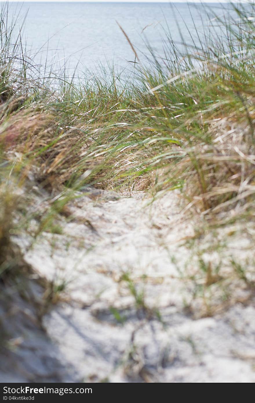 Path and ocean