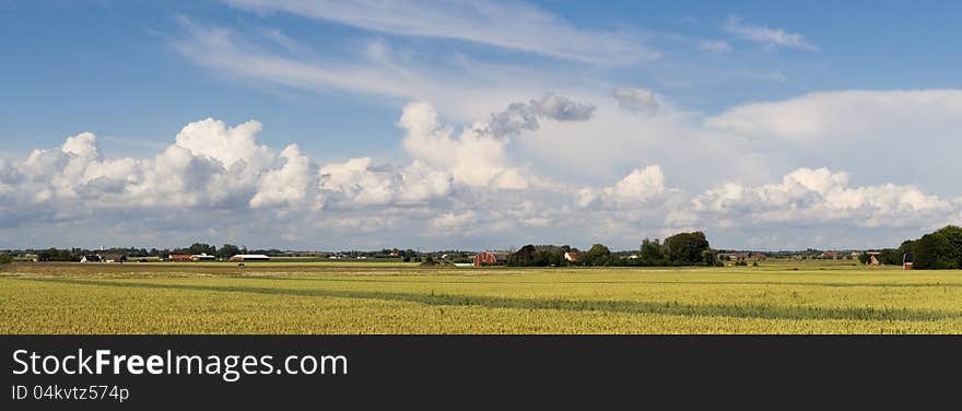 A panorama shot of a field. A panorama shot of a field