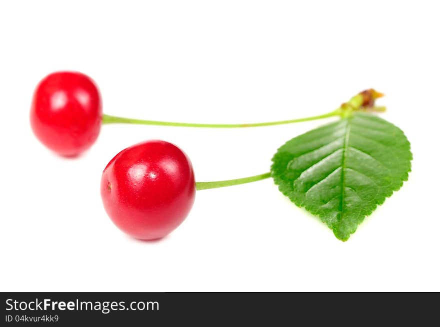 Two red cherries with a stem and green leaf on a white background. Two red cherries with a stem and green leaf on a white background