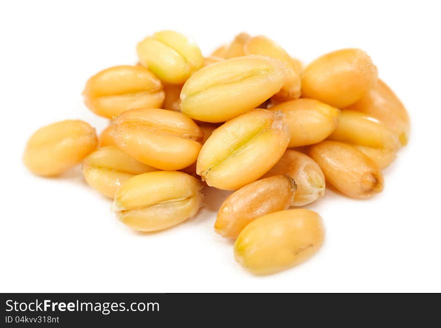 A macro shot of a small pile of wheat grains isolated on a white background. A macro shot of a small pile of wheat grains isolated on a white background