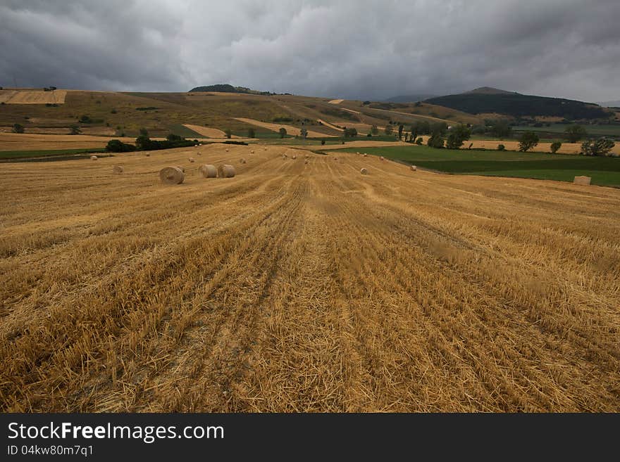 Italian Countryside