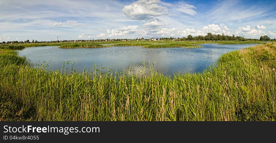 Rural landscape pond with grass