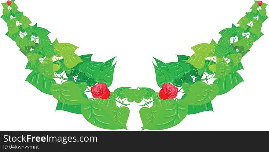 Fresh green leaves and roses isolated on white background