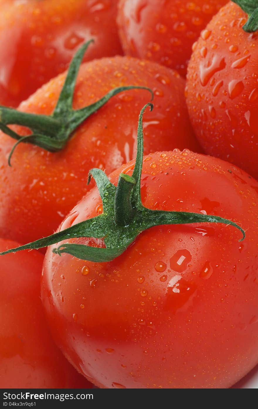 Background of Tomatoes on twigs with droplets close up. Background of Tomatoes on twigs with droplets close up