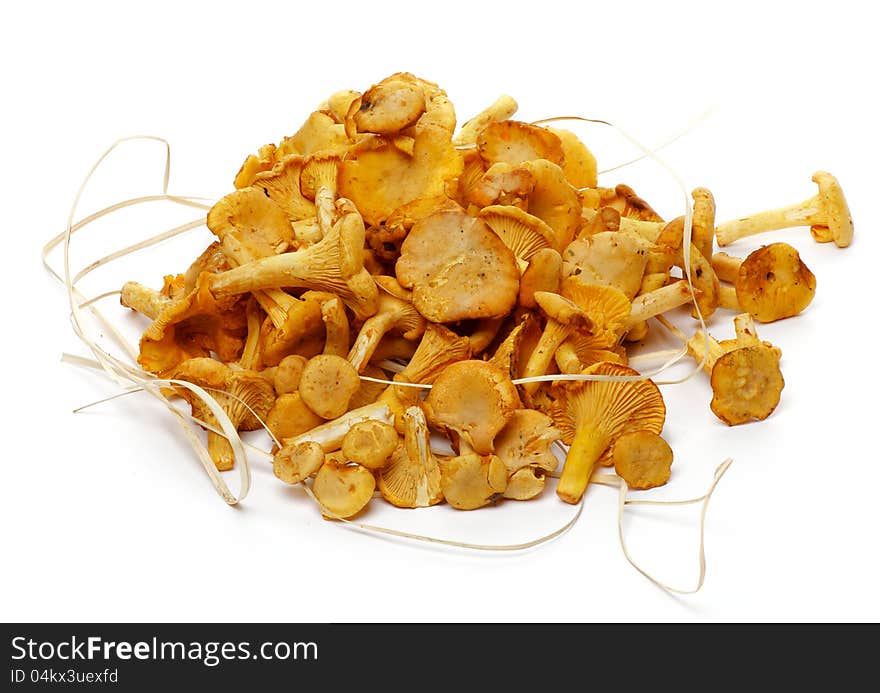 Heap of Fresh Raw Chanterelle Mushrooms