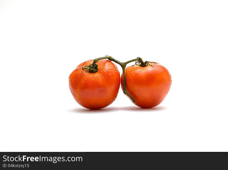 Tomatoes with water drop on white background. Tomatoes with water drop on white background