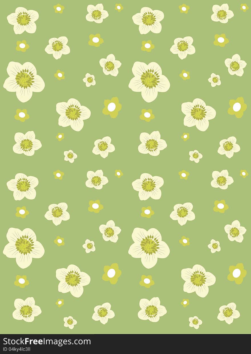 Background from white flowers. Background from white flowers.