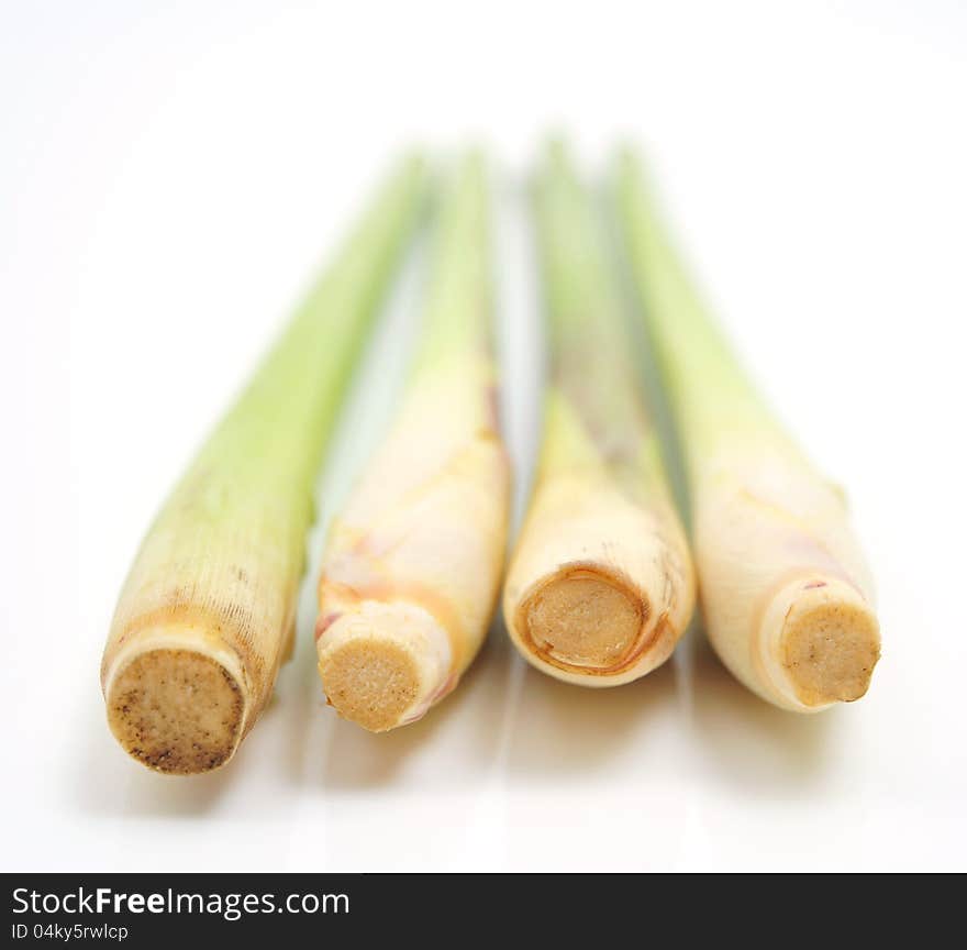 Lemon grass on white background