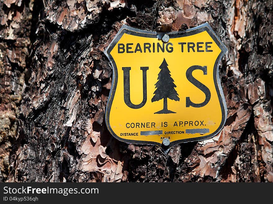 Bearing Tree Sign