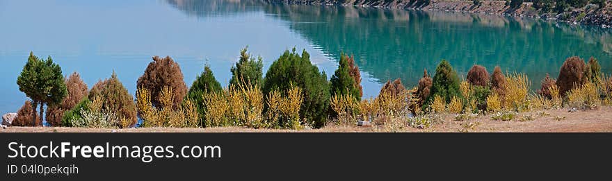 Panoramic view of lake shore with small cedars and yellow flowers. Panoramic view of lake shore with small cedars and yellow flowers