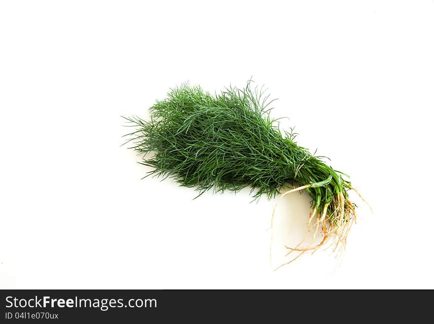 Dill On White