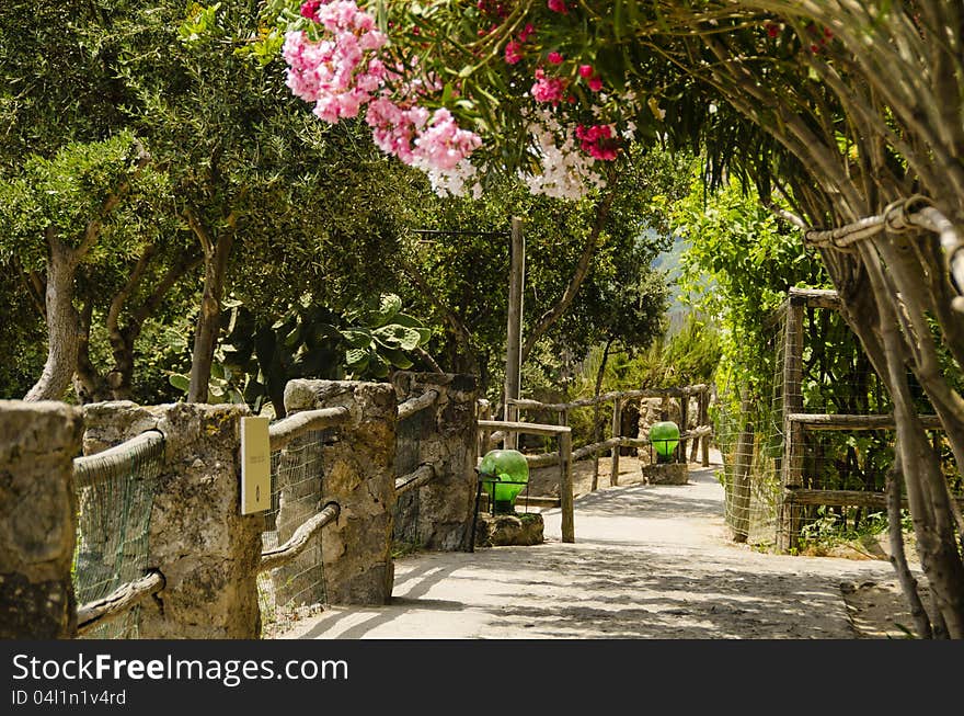 One of the alleys in aragonese castle, ischia, italy. One of the alleys in aragonese castle, ischia, italy