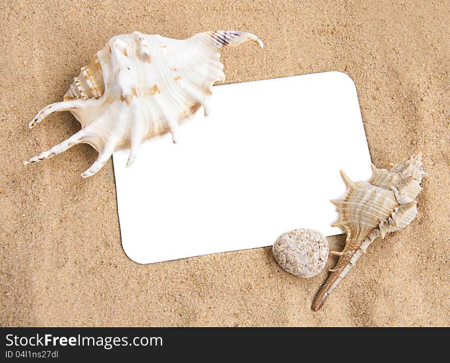 Holiday concept, blank paper on the beach with seashells. Holiday concept, blank paper on the beach with seashells