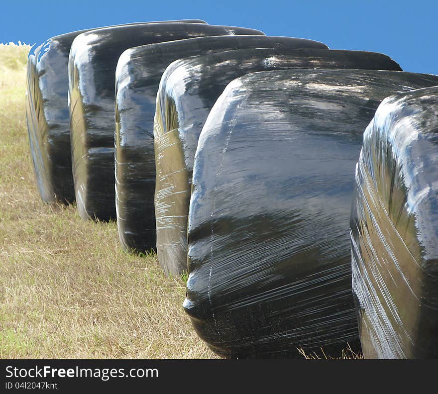 The modern way of gathering hay. The modern way of gathering hay