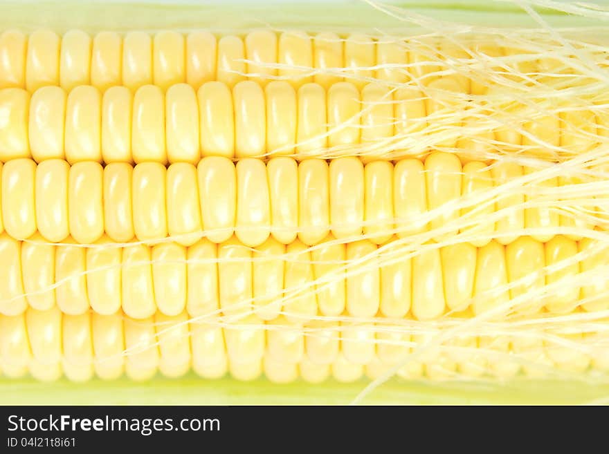 Fresh corn cob closeup background. Fresh corn cob closeup background