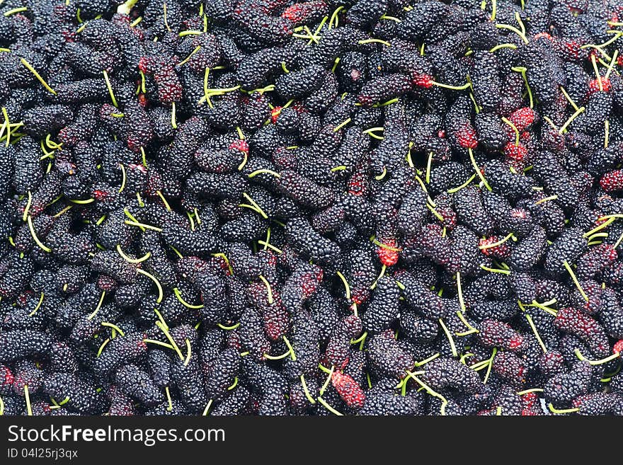 Mulberry Fruits