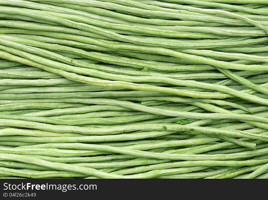 The close-up of cowpea pods