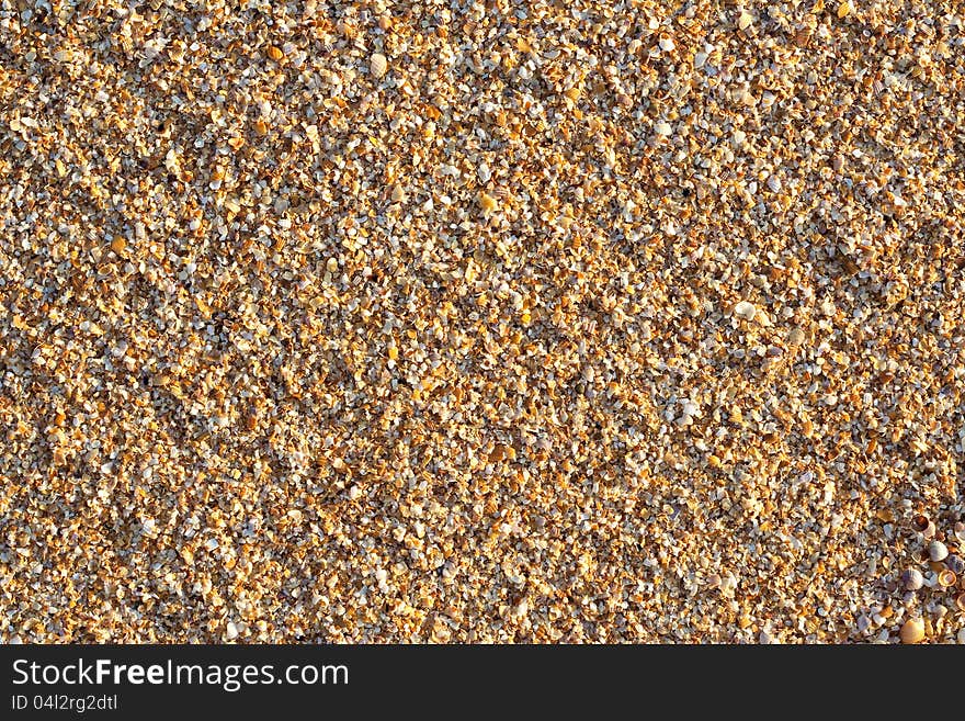 The surface of the beach covered with coquina. Background, texture. The surface of the beach covered with coquina. Background, texture