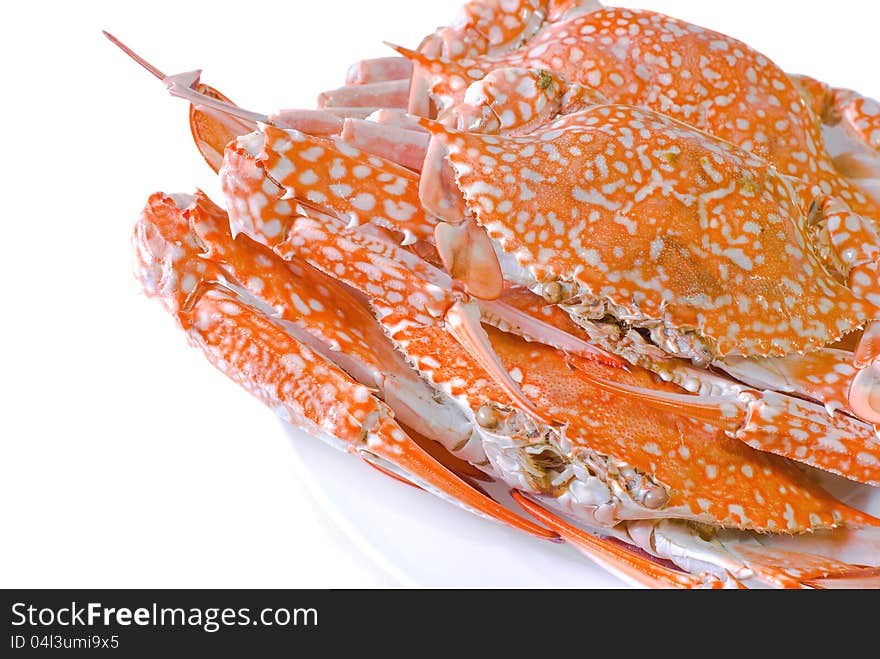 Steamed  crab in dish on white background. Steamed  crab in dish on white background