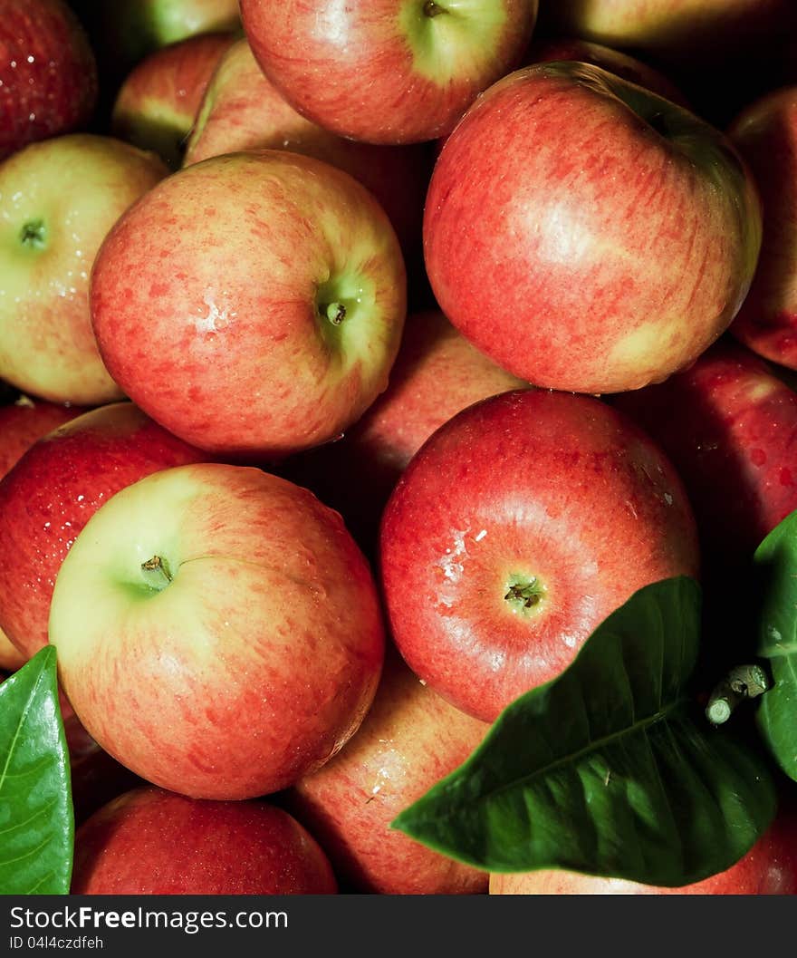 Fresh apple in the box from the farm. Fresh apple in the box from the farm