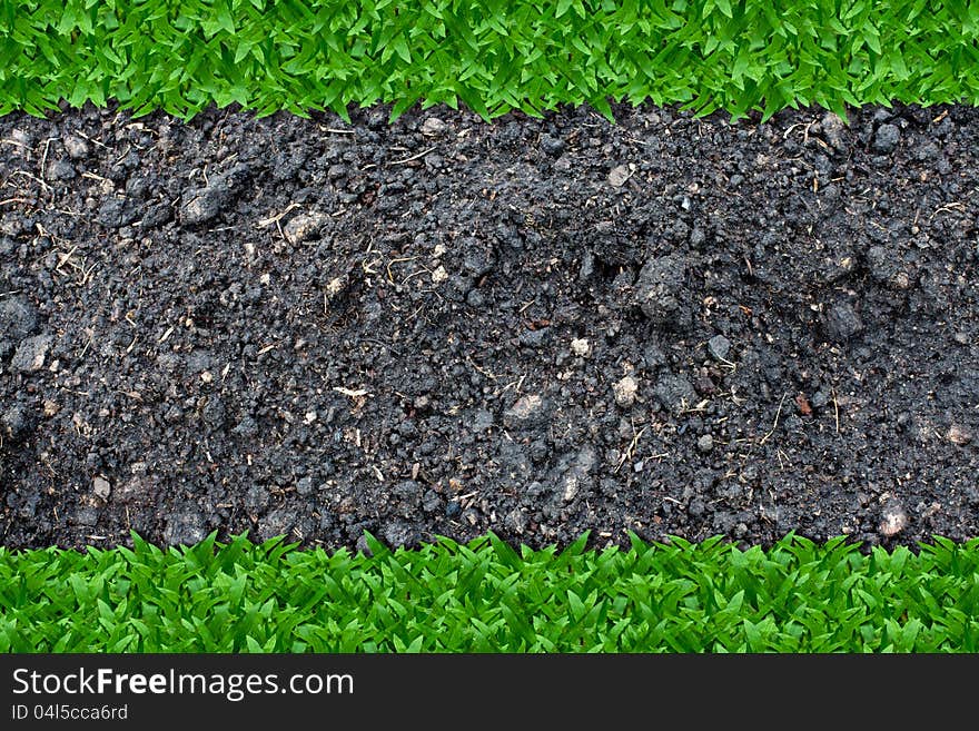 Grass and soil background