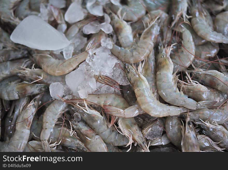 Seafood at Ban Pae market, Rayong Thailand. Seafood at Ban Pae market, Rayong Thailand.