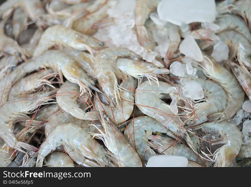 Fresh shrimps.