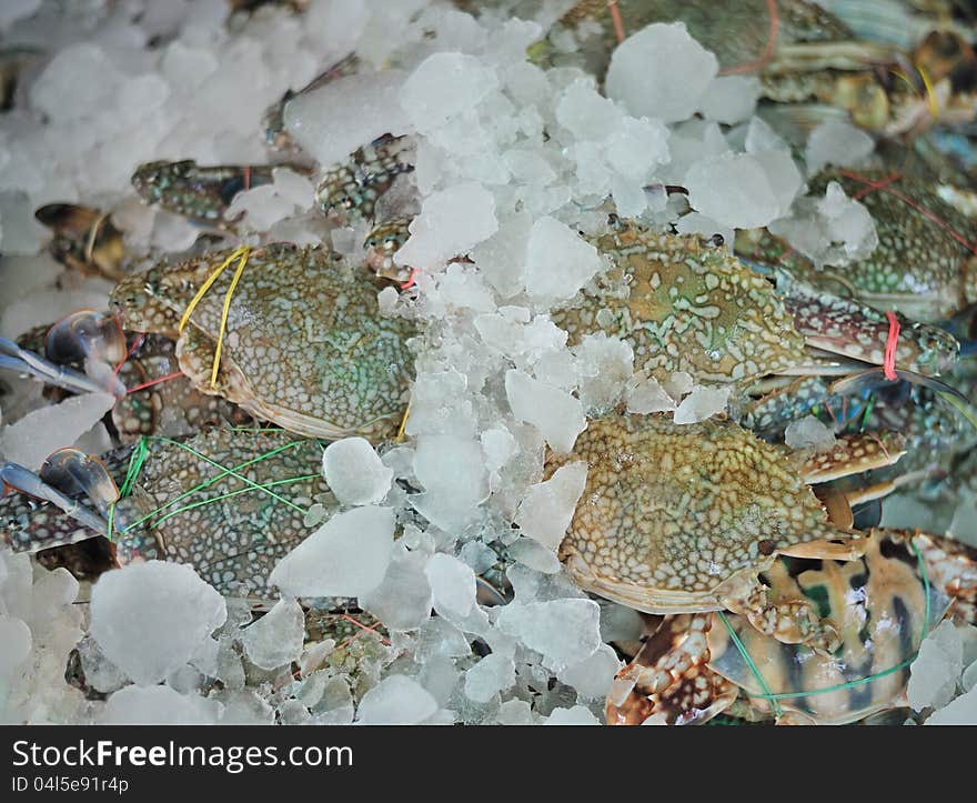 Fresh seafood Phe market, Rayong Thailand. Fresh seafood Phe market, Rayong Thailand.