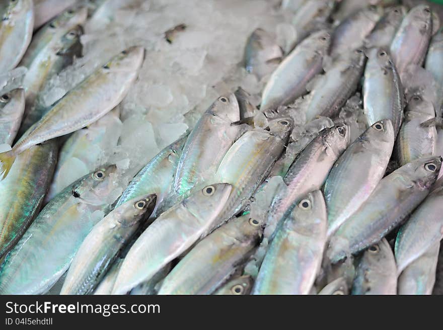 Fresh seafood Phe market, Rayong Thailand. Fresh seafood Phe market, Rayong Thailand.