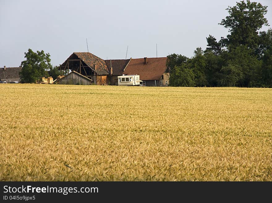 Farmhouse on the edge of the field. Farmhouse on the edge of the field