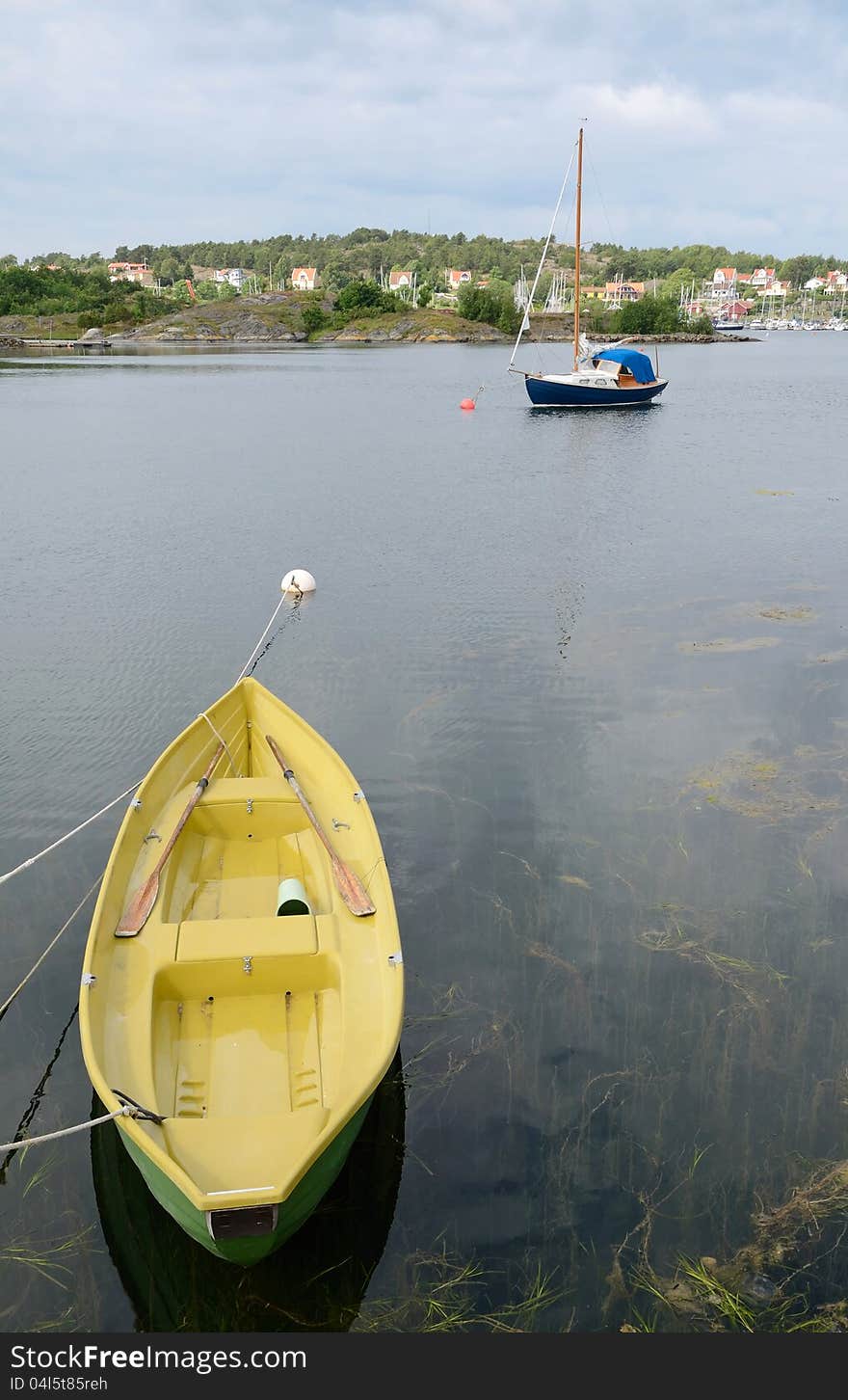 Sport boats moored in a city bay