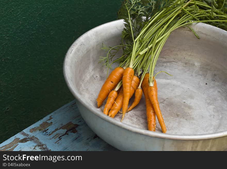 Young carrots with leaves in metallic bowl