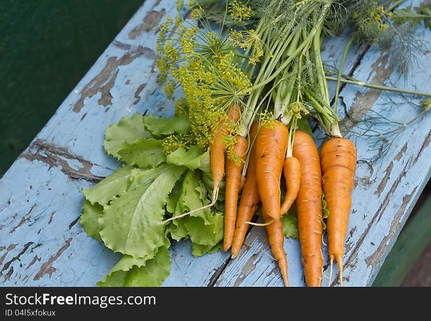 Fresh organic carrots, lettuce and fennel on blue wooden background. Fresh organic carrots, lettuce and fennel on blue wooden background