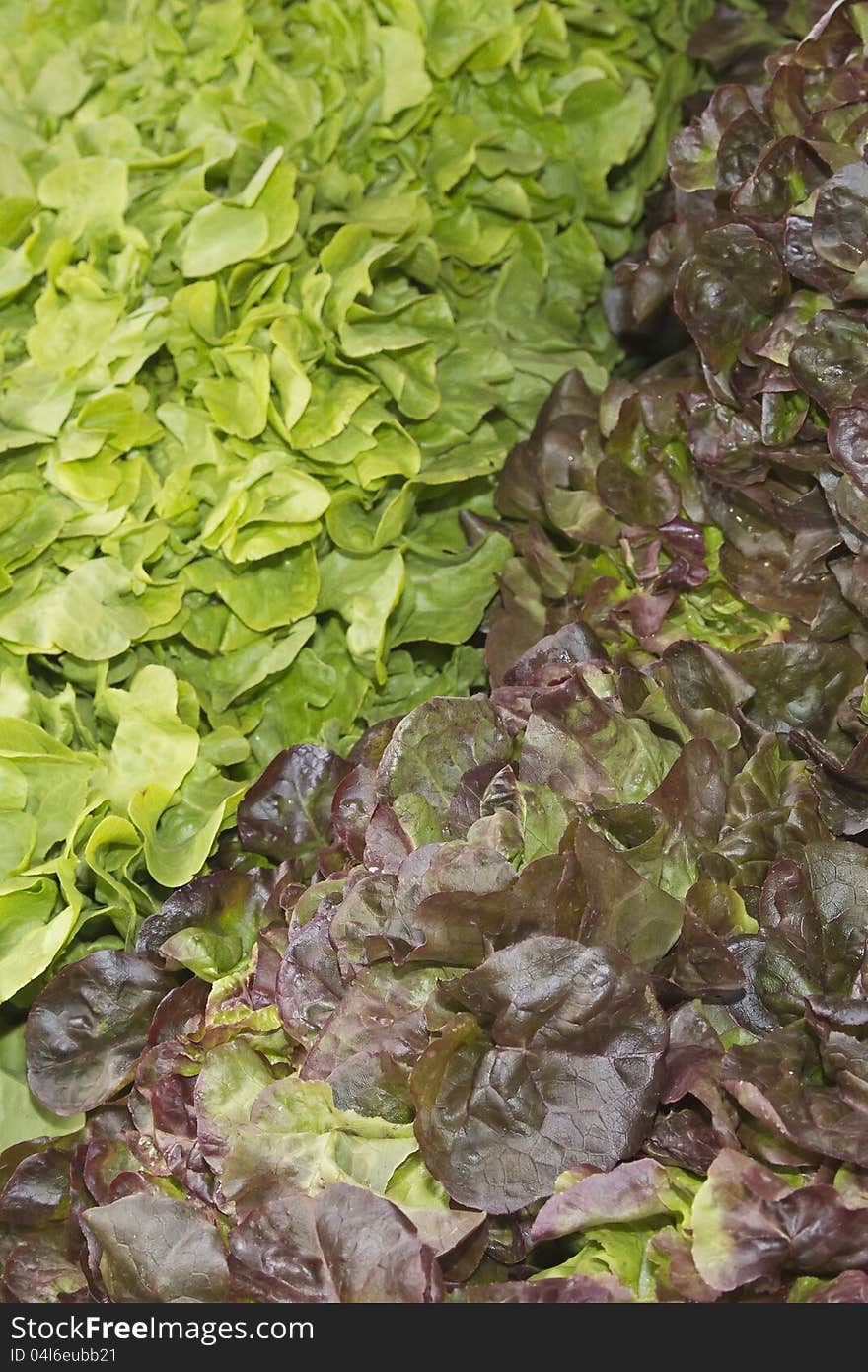 Various kinds of salad at a market